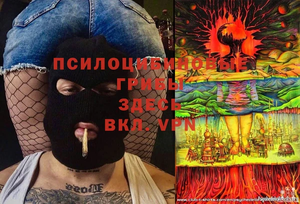 ALPHA-PVP Богородицк