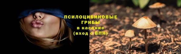 гашишное масло Богданович
