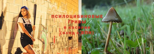 ALPHA-PVP Богородицк