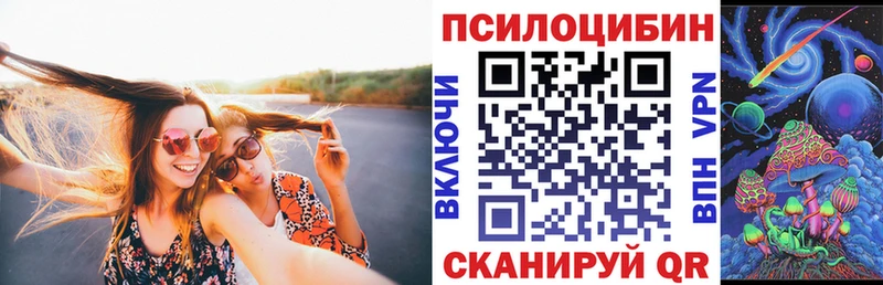 наркотики  Брюховецкая  Псилоцибиновые грибы прущие грибы 
